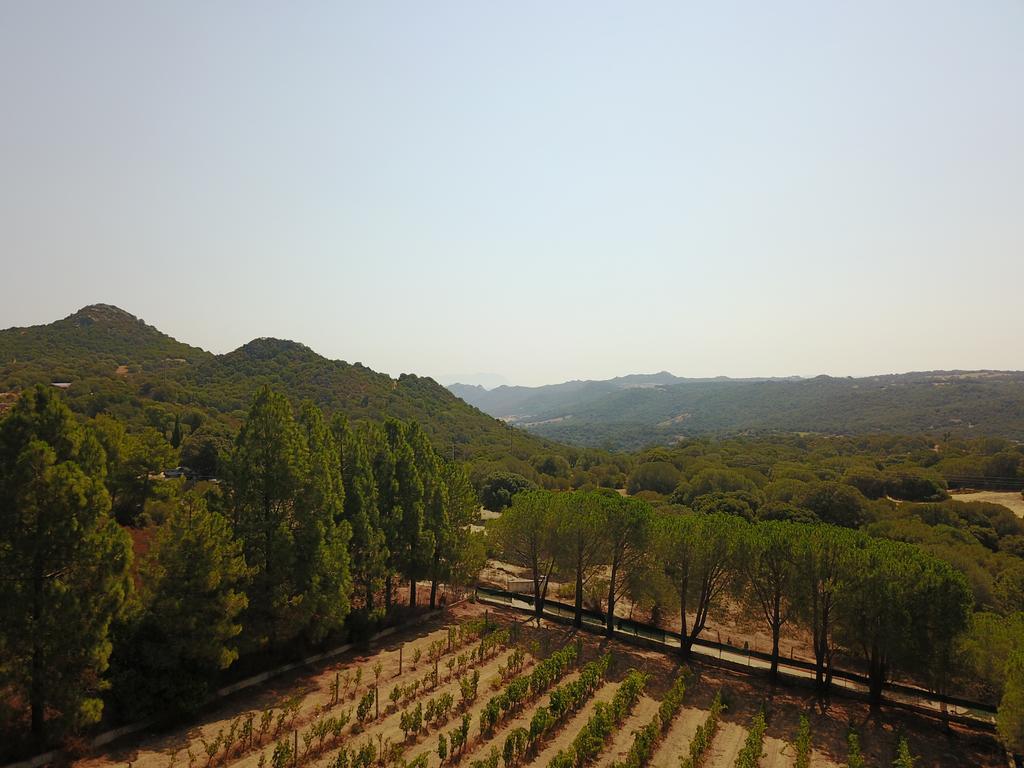 Residence Villa Smeralda Telti Εξωτερικό φωτογραφία