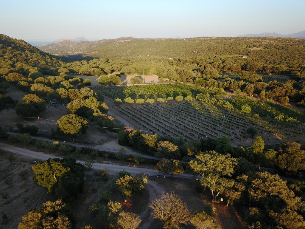 Residence Villa Smeralda Telti Εξωτερικό φωτογραφία