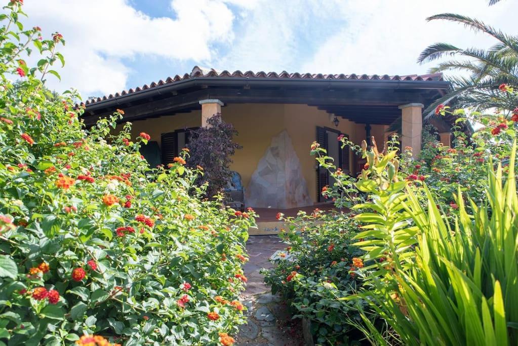 Residence Villa Smeralda Telti Εξωτερικό φωτογραφία